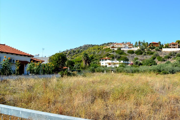 Realty photo 3