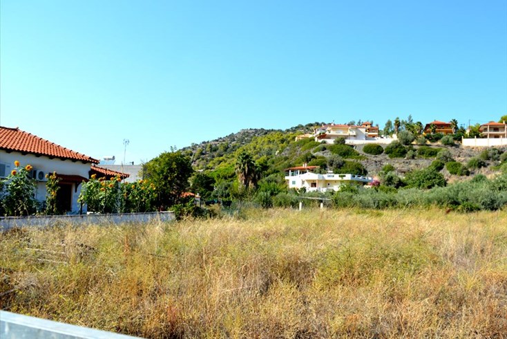 Realty photo 2