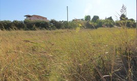 Γη 3000 μ² στην Κέρκυρα