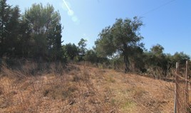 Land 4000 m² in Corfu