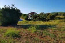 Property 26133 photo 3