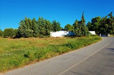 Property 26133 photo 5