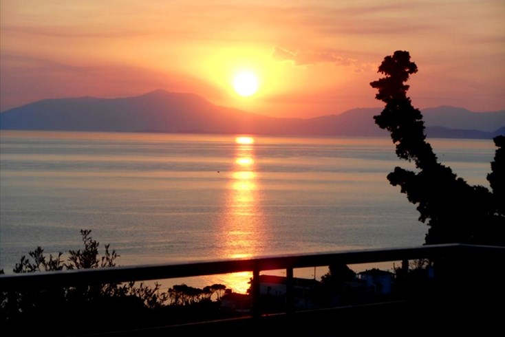 Realty photo 3