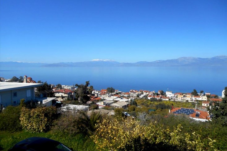 Realty photo 2