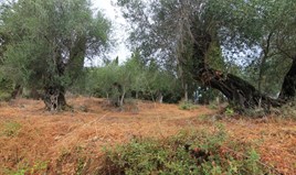 Land 2450 m² in Corfu