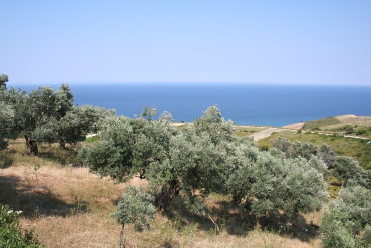 Realty photo 1