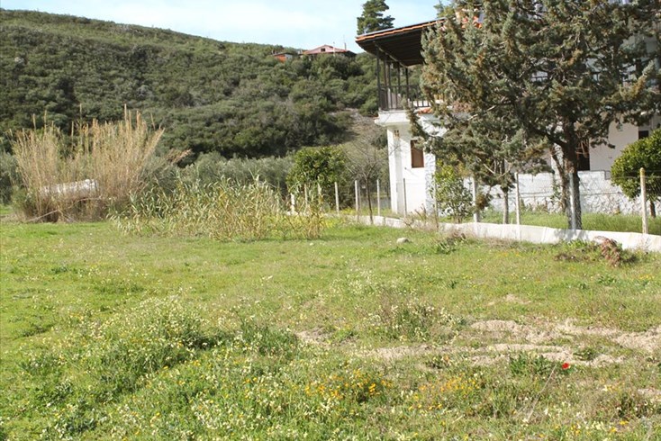 Realty photo 1
