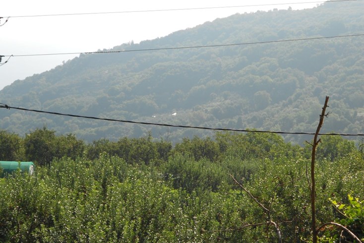 Realty photo 2
