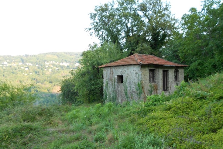 Realty photo 3