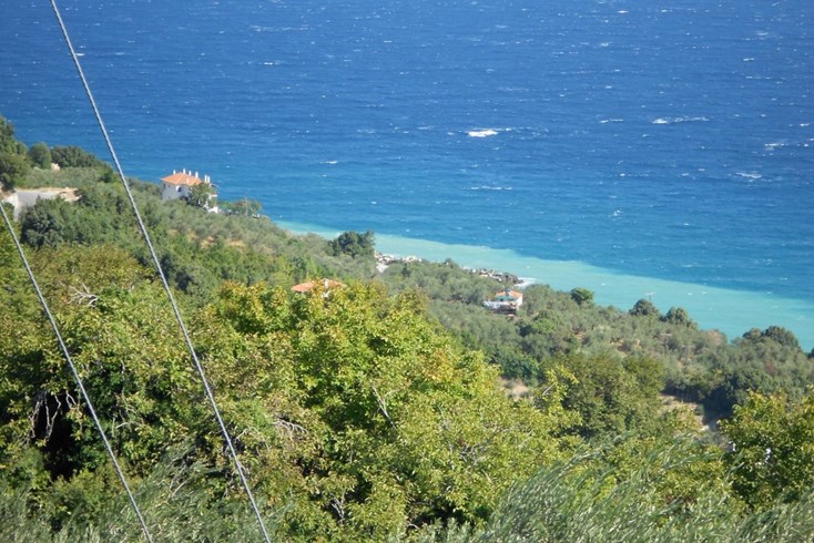 Realty photo 2