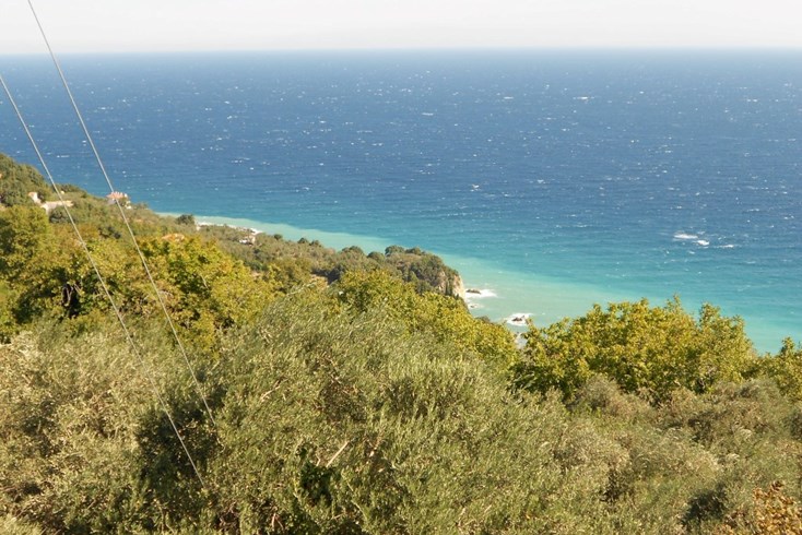 Realty photo 3