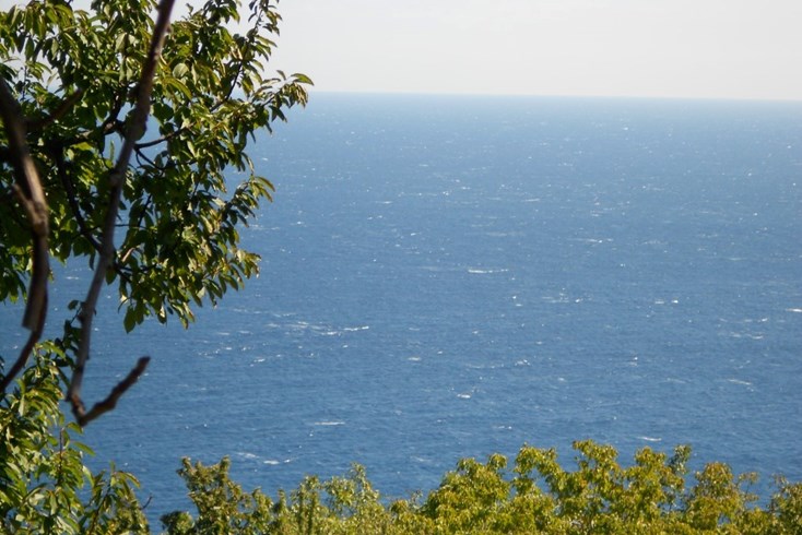 Realty photo 1