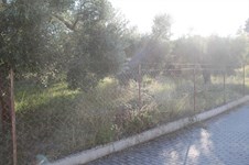 Property 26218 photo 16