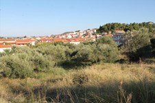 Property 26218 photo 9