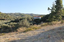 Property 26218 photo 14