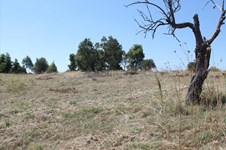 Property 26239 photo 11