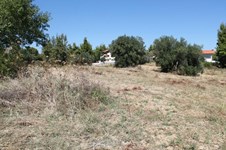 Property 26239 photo 10