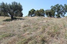 Property 26239 photo 12