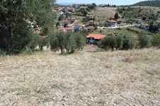 Property 26239 photo 6