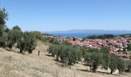Land 450 m² auf Kassandra (Chalkidiki)