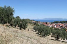 Property 26239 photo 2