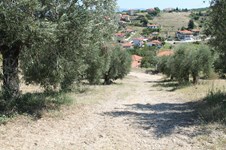 Property 26239 photo 7