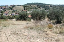 Property 26239 photo 8