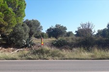 Property 26251 photo 5