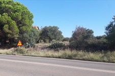 Property 26251 photo 6