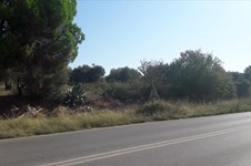 Property 26251 photo 4