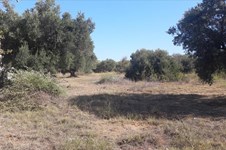 Property 26251 photo 2