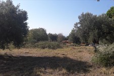 Property 26251 photo 1