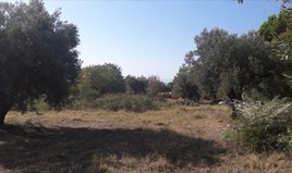 Land 1800 m² auf Sithonia (Chalkidiki)