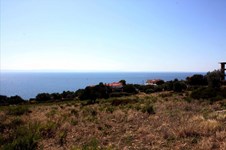 Property 26278 photo 3