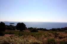 Property 26278 photo 2