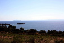 Property 26278 photo 1