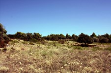 Property 26278 photo 8