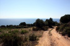Property 26278 photo 7