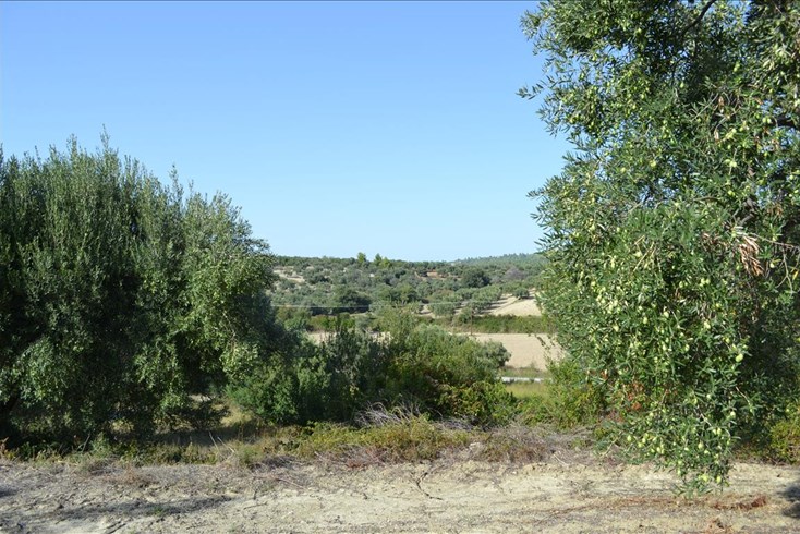Realty photo 3