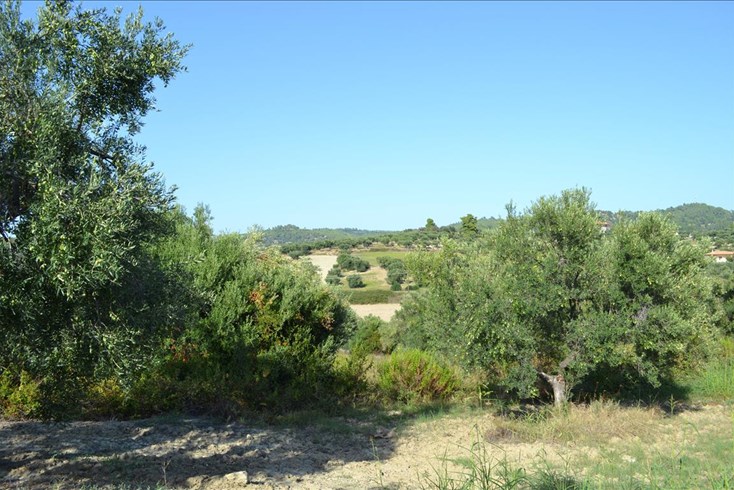 Realty photo 1
