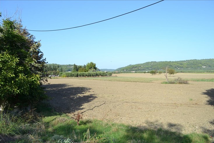 Realty photo 2