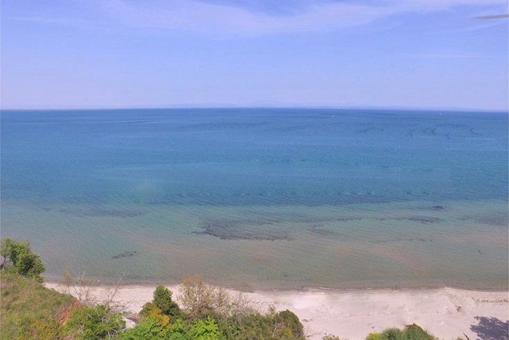 Realty photo 3