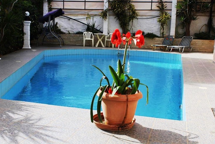 Realty photo 2