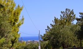 Land 1379 m² auf Kreta