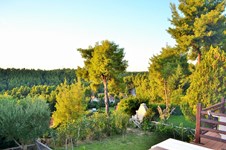 Property 26418 photo 3