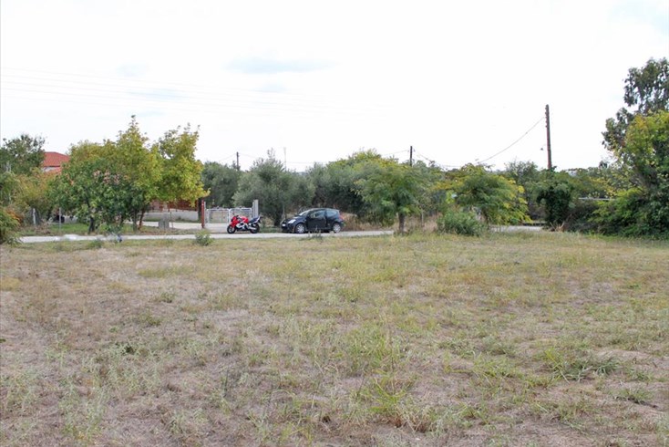 Realty photo 1