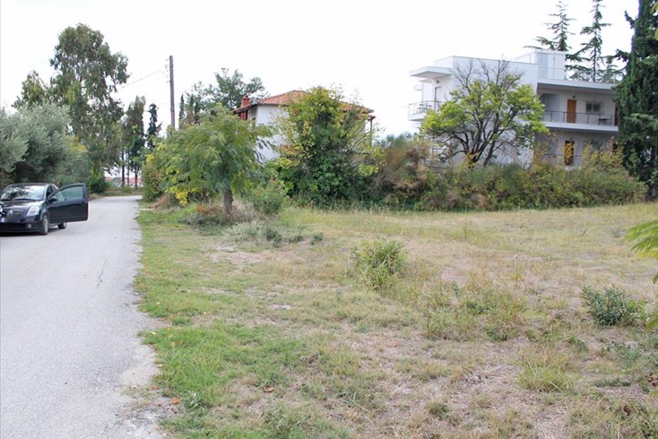 Realty photo 3