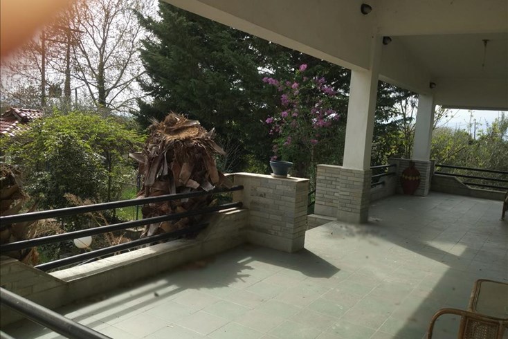 Realty photo 3