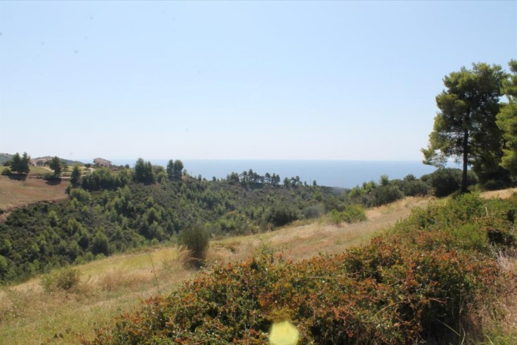 Realty photo 2
