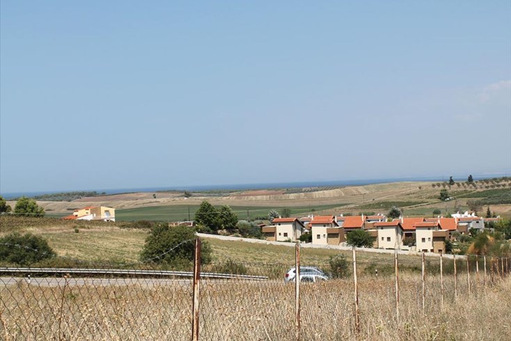 Realty photo 3